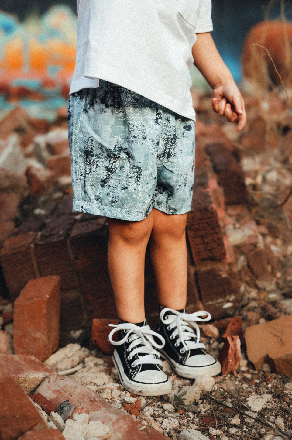 Blue/Green Paisley Swim trunks